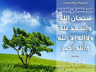 قران كريم قراءة هادئة و مؤثرة