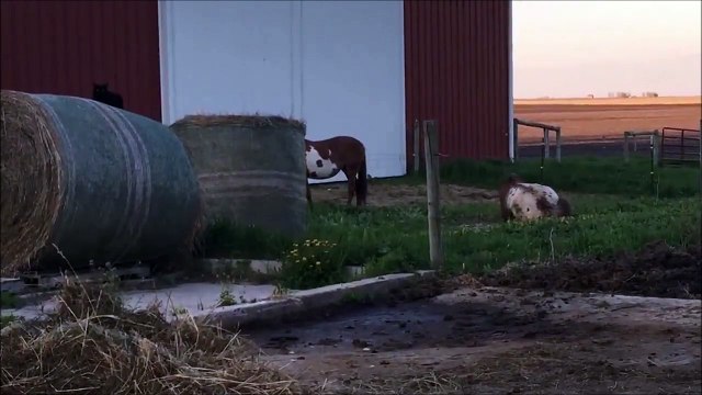 On a tous un pote dont on a honte et qui est insortable