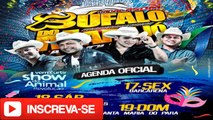 CD 2017 AO VIVO BÚFALO DO MARAJÓ EM SÃO CAETANO DE ODIVELAS DJ RAFAEL CASSIANO (18/02/2017)