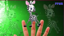 Finger Family Rhymes for Children Horse Zebra Cartoons | Giraffe Finger Family Nursery Rhy