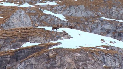 Destination montagnes : Pralognan la Vanoise