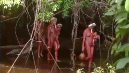 Amazon bộ tộc hoang dã quanh năm tran truong nhưng không hề biết lạnh