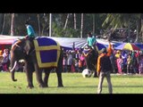 Beragam atraksi gajah di Aceh - NET12