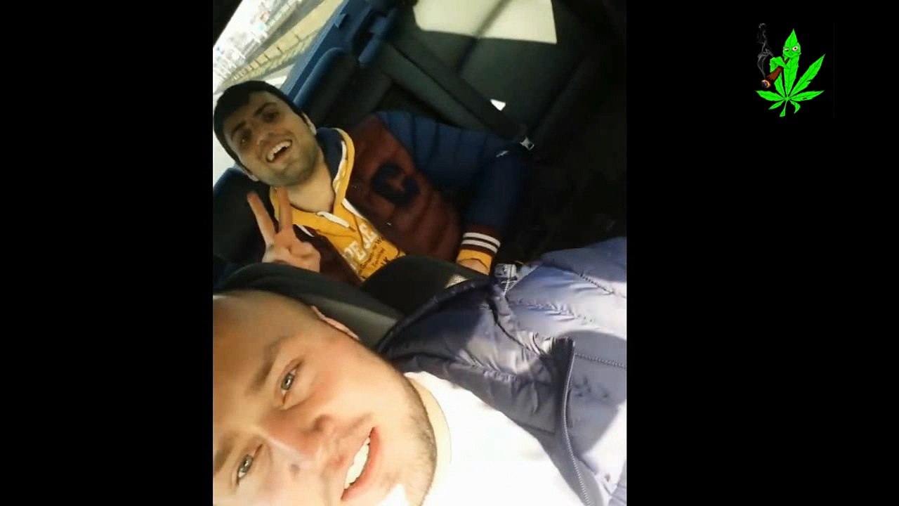 Żyraf na fazie :)