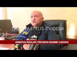 DERMATOZA NODULARE, PËRFUNDON VAKSINIMI I GJEDHEVE