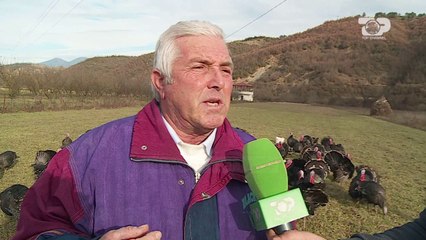 Ne Shtepine Tone, 22 Dhjetor 2016, Pjesa 1 - Top Channel Albania - Entertainment Show