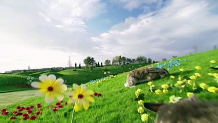 Henry Hoover - Playlist of Fun Movies for Children