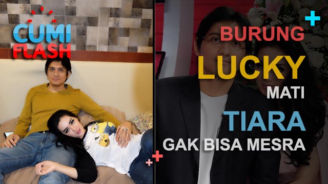 Burung Lucky Mati, Tiara Gak Bisa Mesra - CumiFlash 22 Februari 2017