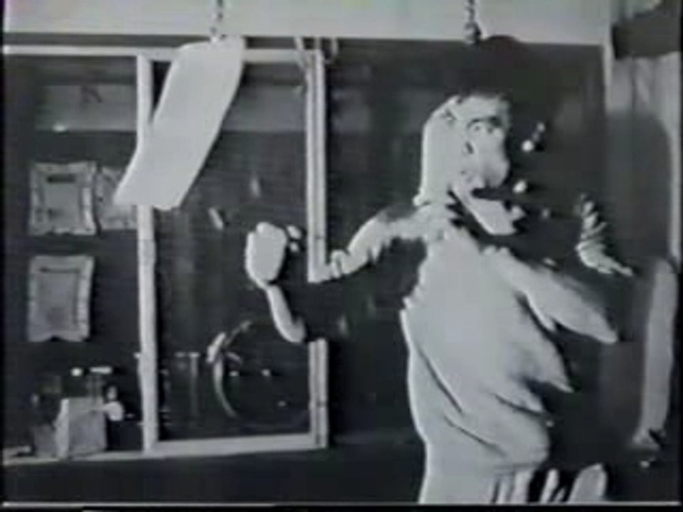 Bruce Lee "Jeet Kune Do legend (8/8)"