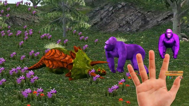 Wild animals Finger Family Rhymes Lion Monkey Tiger Colors Gorilla Nursery Songs for Child