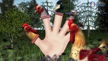 3D Farm Birds Finger Family Song | 3D Daddy Finger Animal Nursery Rhyme for Children