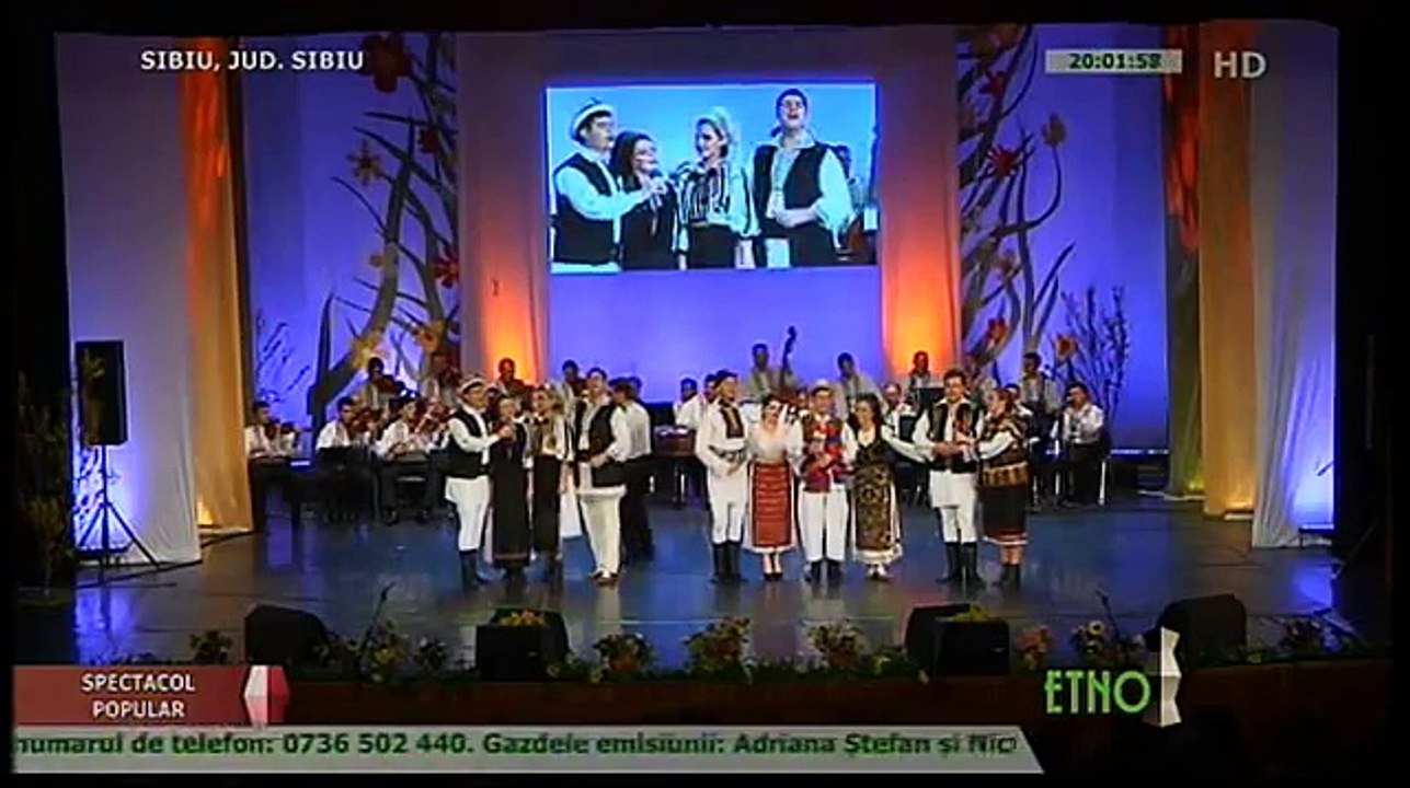 Tineri interpreti de muzica populara - Ridica-te, negura