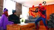 Spiderman vs Catwoman vs Batman in Real Life! Catwoman Kidnaps Batman - Fun Superhero Movi