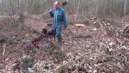 Sains-Morainvillers : Olivier de Baynast et son épagneul picard