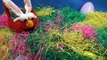 HUGE EASTER EGG HUNT FOR KIDS Surprise Eggs Candy Toys + Dying Easter Eggs Colors! ~ Littl