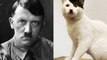 10 Famous Celebrities Who Look Like Animals