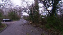 Planes shake and trees fall as Storm Doris hits Britain