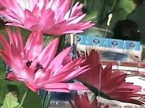 , Hành Hương Đất tổ Vua Hùng ,Đền Gióng, Trúc lâm Thiền Viện Sóc Sơn