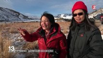 États-Unis : le retour des bisons dans le Wyoming