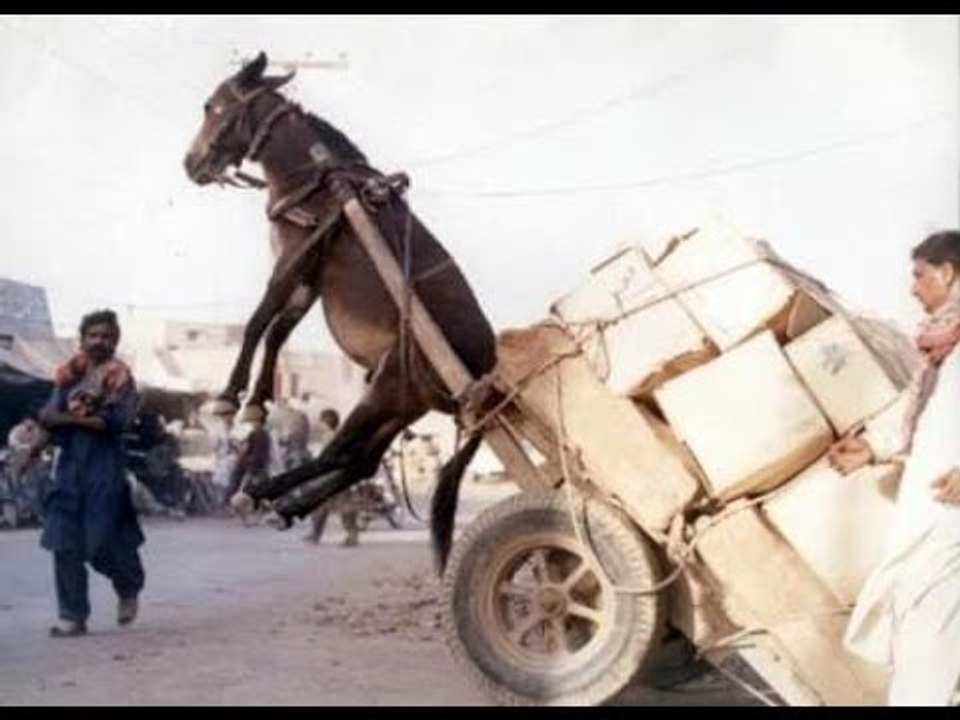 New Best Funny Jokes 2017 – Best Jokes Ever by good movie to watch