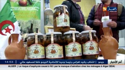 زيت الزيتون... ثروة تغض الجزائر عنها البصر