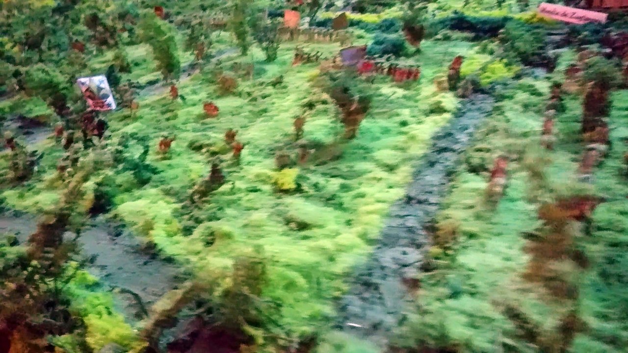 maquette