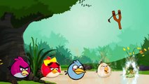 Angry Birds Funny Finger Family Nursery Rhymes | 3D Animation Rhymes For Kids |