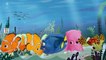 Buscando A Nemo Dedo De La Familia De Las Canciones De Daddy Dedo Rimas Infantiles De Disney Pixar Colección De 30