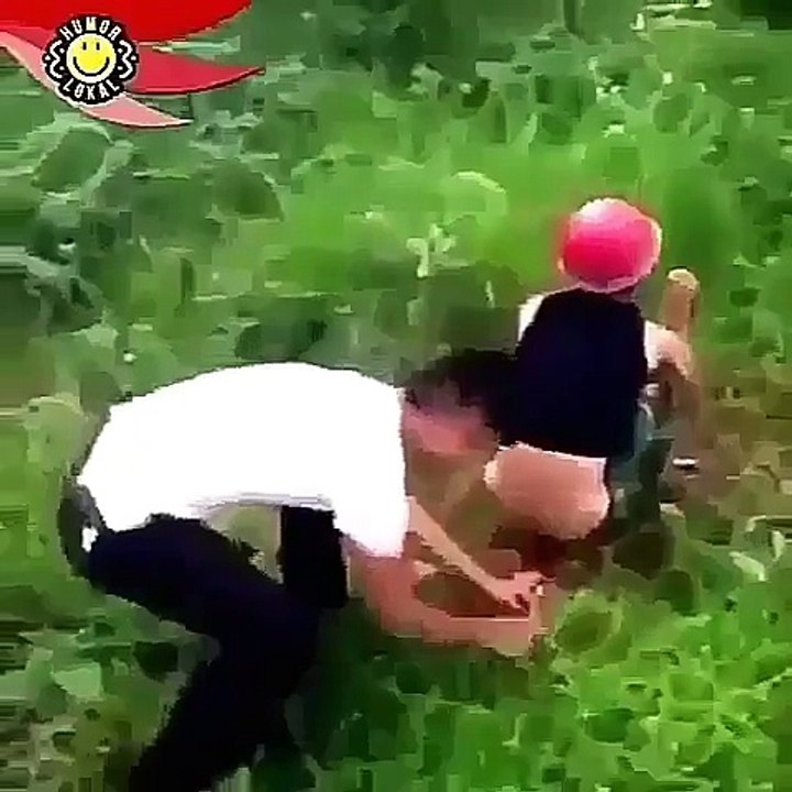 funny video lol