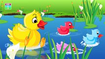 Five Little Ducks canción infantil Con Letra de dibujos animados Animación Rimas y Canciones para Niños