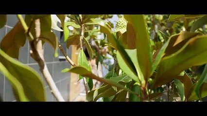 Hiro - Monica (Clip Officiel)