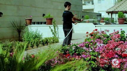 محلى يومه - عصومي ووليد   طيور الجنة