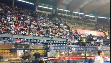 Atmosfera u Pioniru pred meč Crvena zvezda-Galatasaraj