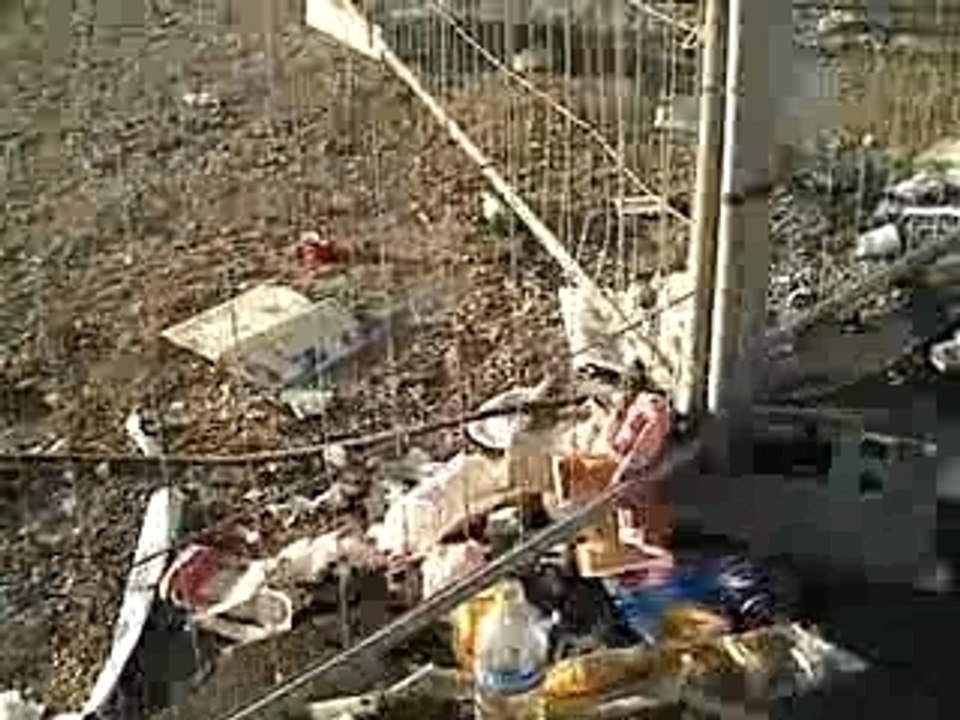 Fête de l'Huma, côté Grunge