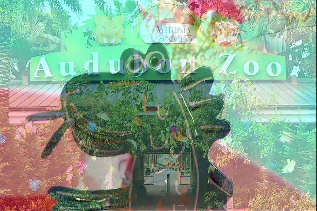 Audubon Nature Institute’s 2016 Zoo-To-Do for Kids Presented by Tulane Pediatrics (1)