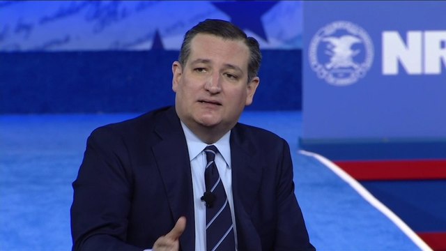 Ted Cruz: Democratic Party's base is 'bat-crap crazy'