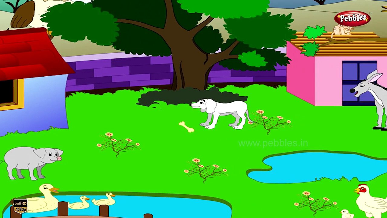 Bingo Dog Song | Kids Songs & Nursery Rhymes | Dave and Ava