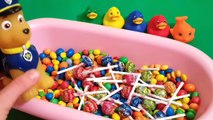 Play Doh Kinder Sorpresa Huevos Sorpresa Juguetes Palacio de las Mascotas Chupa Chups de M&M TMNT Para los Niños Ch