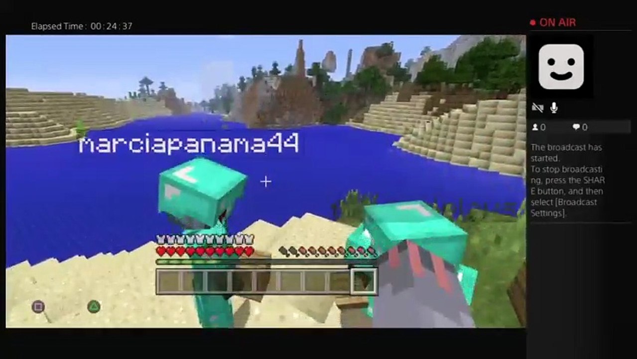 Minecraft (32)