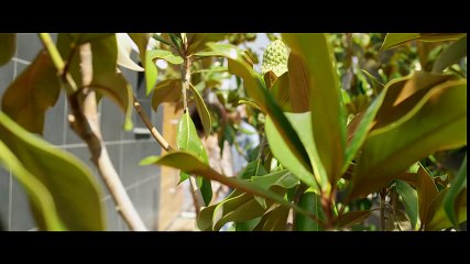 Hiro - Monica (Clip Officiel)