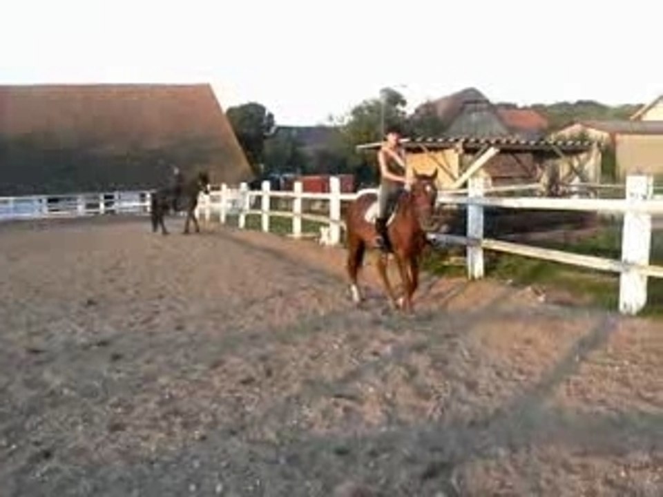 QuoryMontéTrot