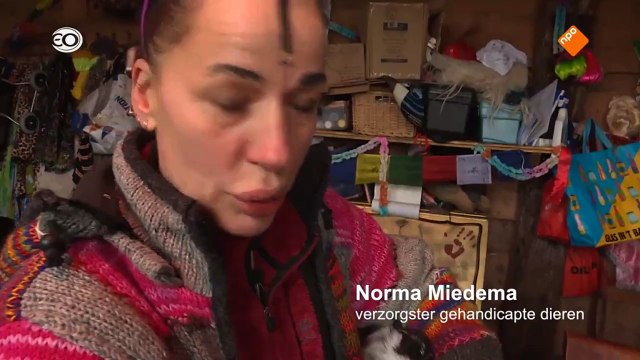 Geloof en een Hoop Liefde