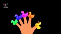 Finger Family Duck | Finger Family Duck Songs | Nursery Rhymes Songs