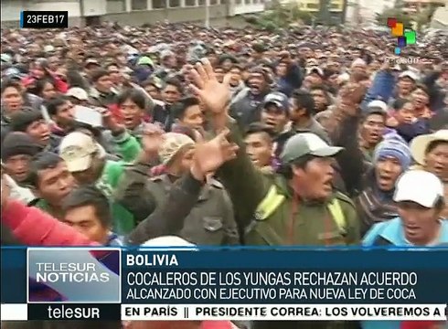 Bolivia: cocaleros de los yungas rechazan acuerdo con gobierno