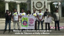 Mexique: Manifestation en marge de la visite de Tillerson