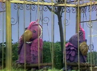 Futrinka Utca [1979]  Tájékozódó Futás