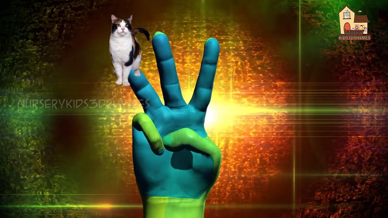 Horse colors Finger Family Nursery Children English Animated 3d Animals animated rhymes