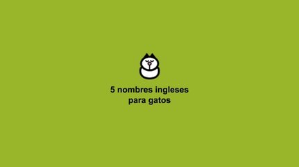 Nombres ingleses para gatos