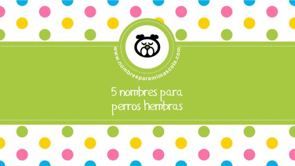 Nombres para perros hembras