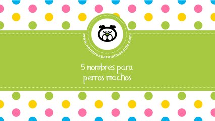 Nombres para perros machos